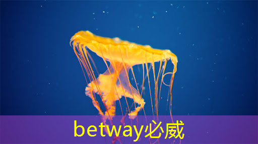 betway必威西汉姆联官网：福安市智慧城市中誉