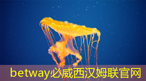 betway必威中国官方网站：5g智慧城市竖版