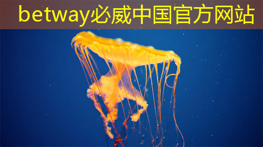 betway必威西汉姆联官网：如何制作寓意深远的感恩节电子视频贺卡？