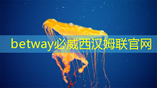 betway必威西汉姆联官网：实时互动，智慧商显系统方案驱动消费者购买欲望