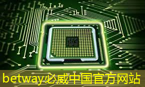 必威:上海市芯片制造与封装电子电镀专题研讨会在上海大学顺利召开! 必威:上海市芯片制造与封装电子电镀专题研讨会在上海大学顺利召开!