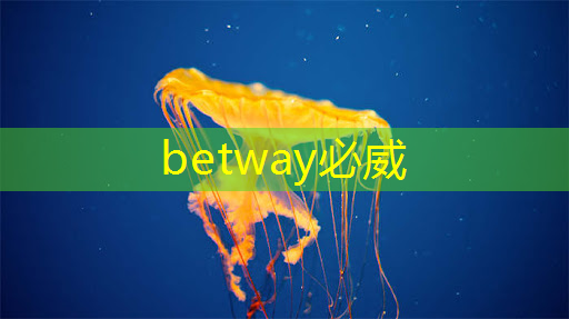 betway必威中国官方网站:肇观电子CTO周骥:高效实现智能视觉芯片算法部署的关键与挑战|直播课预告 betway必威中国官方网站:肇观电子CTO周骥:高效实现智能视觉芯片算法部署的关键与挑战|直播课预告