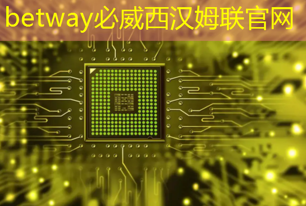 betway必威中国官方网站:拜登再宣布一笔半导体补贴:用数字孪生加速芯片设计和生产 betway必威中国官方网站:拜登再宣布一笔半导体补贴:用数字孪生加速芯片设计和生产