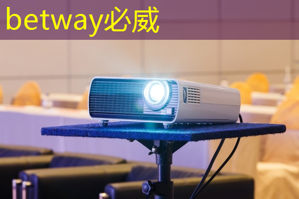 betway必威:一年的时间,这家上海芯片独角兽又给我们带来了什么惊喜? betway必威:一年的时间,这家上海芯片独角兽又给我们带来了什么惊喜?