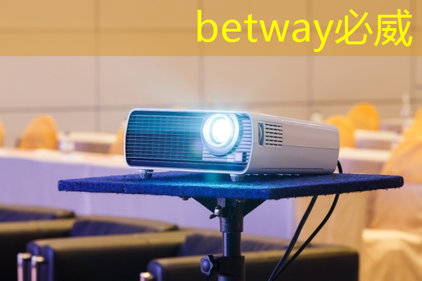 betway必威中国官方网站:电源管理芯片:如何选择与应用 betway必威中国官方网站:电源管理芯片:如何选择与应用