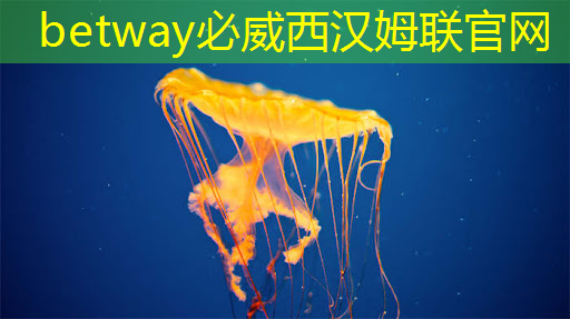 betway必威中国官方网站:肇观电子CTO周骥:高效实现智能视觉芯片算法部署的关键与挑战|直播课预告 betway必威中国官方网站:肇观电子CTO周骥:高效实现智能视觉芯片算法部署的关键与挑战|直播课预告