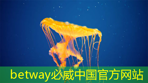 betway必威:从控制器到显示器:电视中的常见芯片及其作用 betway必威:从控制器到显示器:电视中的常见芯片及其作用