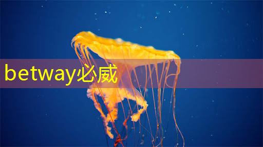 betway必威:【拜登】拜登加剧与中国的人工智能芯片战 betway必威:【拜登】拜登加剧与中国的人工智能芯片战