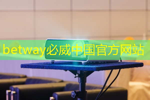 betway必威中国官方网站：30秒！解锁汽车芯片供应链企业查询技巧