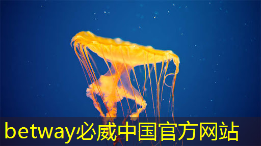 时擎智能设计总监曹英杰教你用RISC-V设计AIoT边缘计算芯片(内文送书) 时擎智能设计总监曹英杰教你用RISC-V设计AIoT边缘计算芯片(内文送书)