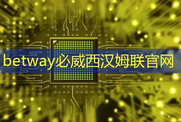 betway必威中国官方网站：走进东风 ｜ 深入解读智能驾驶的大脑——车规大算力芯片