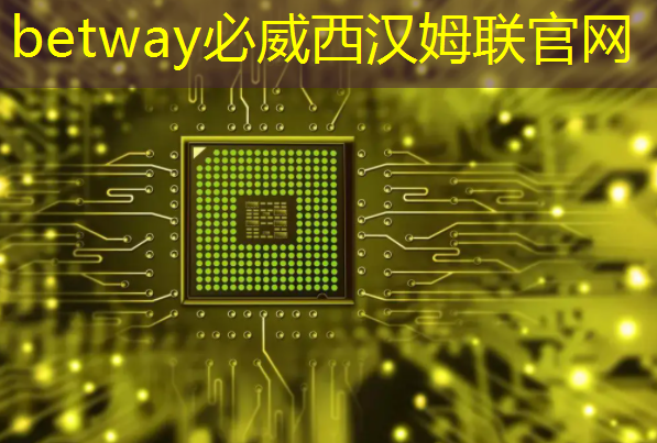 betway必威中国官方网站:中科院唯一认证的芯片+人形机器人霸主,或将1000%增长 betway必威中国官方网站:中科院唯一认证的芯片+人形机器人霸主,或将1000%增长