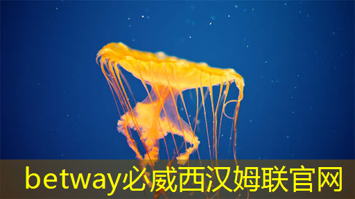 必威:Talk预告 | 壁仞智能科技高级研究员唐杉:AI芯片技术发展 必威:Talk预告 | 壁仞智能科技高级研究员唐杉:AI芯片技术发展