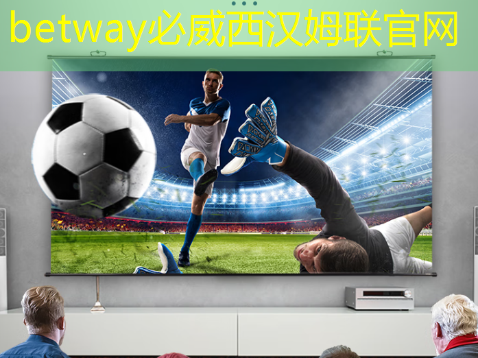 betway必威中国官方网站:一年的时间,这家上海芯片独角兽又给我们带来了什么惊喜? betway必威中国官方网站:一年的时间,这家上海芯片独角兽又给我们带来了什么惊喜?