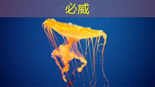betway必威:基于架构创新,后摩智能点亮业内首款存算一体大算力AI芯片 betway必威:基于架构创新,后摩智能点亮业内首款存算一体大算力AI芯片