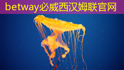 betway必威:张强:中国汽车智能芯片行业里的行动派 betway必威:张强:中国汽车智能芯片行业里的行动派