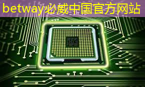 芯片行业大爆发!国产芯片的未来在哪里? 芯片行业大爆发!国产芯片的未来在哪里?