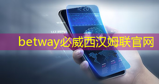 betway必威中国官方网站:电源管理芯片:如何选择与应用 betway必威中国官方网站:电源管理芯片:如何选择与应用
