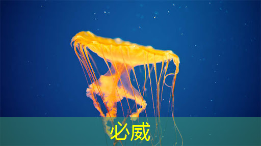 betway必威中国官方网站:智能硬件芯片行业太卷?联盛德给出了答案 betway必威中国官方网站:智能硬件芯片行业太卷?联盛德给出了答案