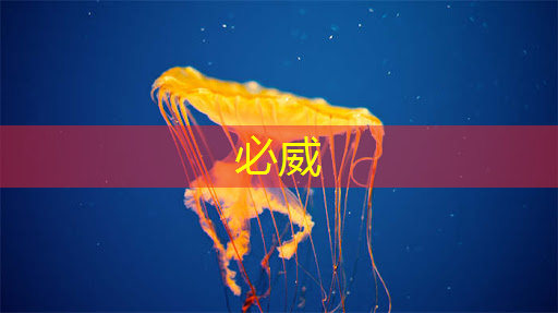 betway必威西汉姆联官网:存储芯片中的寒武纪,牛散葛卫东重仓1872万股,1009家机构集体抱团 betway必威西汉姆联官网:存储芯片中的寒武纪,牛散葛卫东重仓1872万股,1009家机构集体抱团
