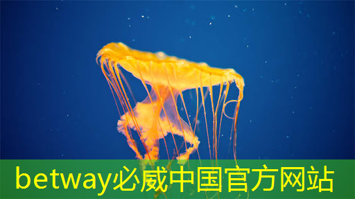 光芯片迎“窗口期”:AI推动新机遇,国产化提升迫在眉睫! 光芯片迎“窗口期”:AI推动新机遇,国产化提升迫在眉睫!