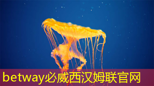 betway必威:WAIC2022|争渡AI芯片护城河 国产厂商打出能耗和集成牌 betway必威:WAIC2022|争渡AI芯片护城河 国产厂商打出能耗和集成牌