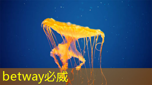 利扬芯片接待1家机构调研,包括2024年半年度业绩说明会 利扬芯片接待1家机构调研,包括2024年半年度业绩说明会