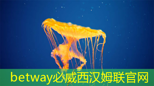 betway必威:7nm制程强化我国区块链算力 芯片企业有盈利方可良性循环 betway必威:7nm制程强化我国区块链算力 芯片企业有盈利方可良性循环