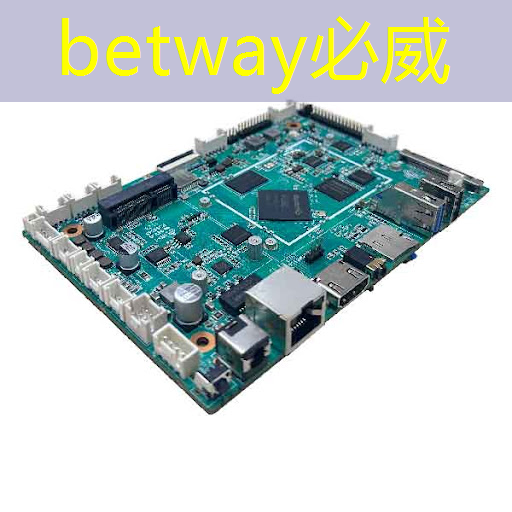 betway必威西汉姆联官网:一年的时间,这家上海芯片独角兽又给我们带来了什么惊喜? betway必威西汉姆联官网:一年的时间,这家上海芯片独角兽又给我们带来了什么惊喜?