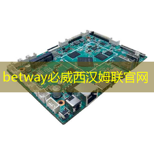betway必威中国官方网站:ASIC芯片王者!垄断45%市场份额,大厂抛弃GPU,下一个常山北明? betway必威中国官方网站:ASIC芯片王者!垄断45%市场份额,大厂抛弃GPU,下一个常山北明?
