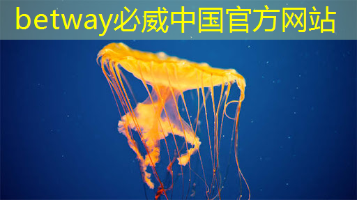 betway必威:Talk预告 | 壁仞智能科技高级研究员唐杉:AI芯片技术发展 betway必威:Talk预告 | 壁仞智能科技高级研究员唐杉:AI芯片技术发展