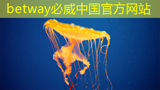 betway必威中国官方网站:地平线工具链核心开发者杨志刚:基于征程5芯片的Transformer量化部署实践与经验|自动驾驶新青年讲座 betway必威中国官方网站:地平线工具链核心开发者杨志刚:基于征程5芯片的Transformer量化部署实践与经验|自动驾驶新青年讲座