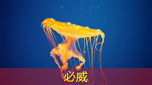 betway必威西汉姆联官网:燧原科技:做大芯片,拼硬科技!首发国内第二代人工智能训练芯片“邃思2.0”! betway必威西汉姆联官网:燧原科技:做大芯片,拼硬科技!首发国内第二代人工智能训练芯片“邃思2.0”!