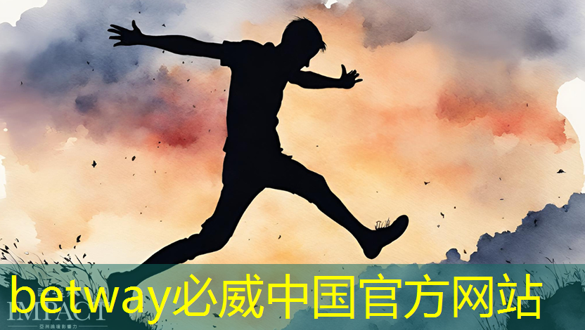 betway必威中国官方网站:电源管理芯片:如何选择与应用 betway必威中国官方网站:电源管理芯片:如何选择与应用