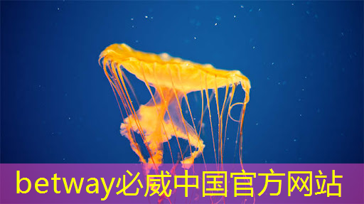 betway必威西汉姆联官网:如何选择合适的射频芯片:选型指南与建议 betway必威西汉姆联官网:如何选择合适的射频芯片:选型指南与建议