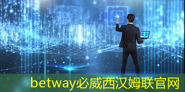 必威：拜登再宣布一笔半导体补贴：用数字孪生加速芯片设计和生产