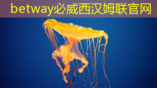语音AI芯片在智能家居不同场景如何应用？杭州国芯AI事业部总经理凌云周四讲解！