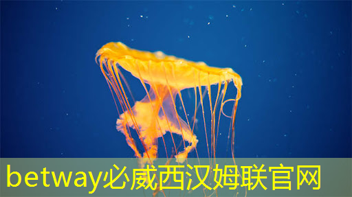 betway必威西汉姆联官网：芯片行业大爆发！国产芯片的未来在哪里？