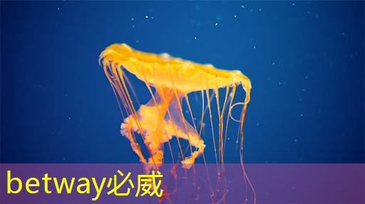 betway必威:【寒假】沉浸式芯片科技探索体验营——思无域 行无疆 玩科技 驭未来 betway必威:【寒假】沉浸式芯片科技探索体验营——思无域 行无疆 玩科技 驭未来