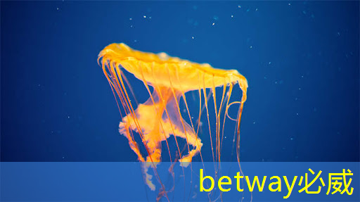 betway必威中国官方网站:AI视觉芯片在N大边缘智能场景应用?8.23直播开启深度解读 betway必威中国官方网站:AI视觉芯片在N大边缘智能场景应用?8.23直播开启深度解读