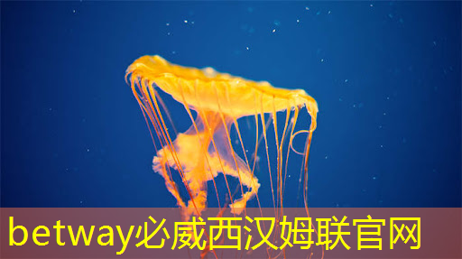 betway必威:ASIC芯片+AI智算中心+布局硅光芯片+重组预期,潜力秒杀双成药业,问鼎2024跨年第一龙头 betway必威:ASIC芯片+AI智算中心+布局硅光芯片+重组预期,潜力秒杀双成药业,问鼎2024跨年第一龙头