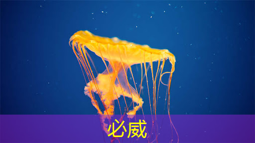 WAIC2022|争渡AI芯片护城河 国产厂商打出能耗和集成牌 WAIC2022|争渡AI芯片护城河 国产厂商打出能耗和集成牌